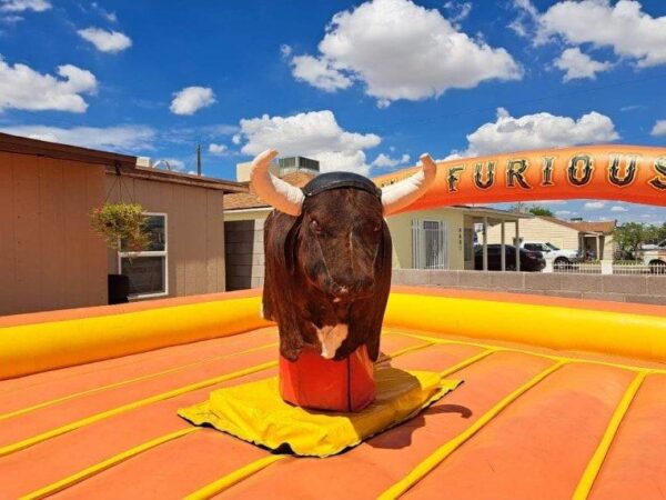 Mechanical Bull for Whole day & Night (24 Hours) - Image 2