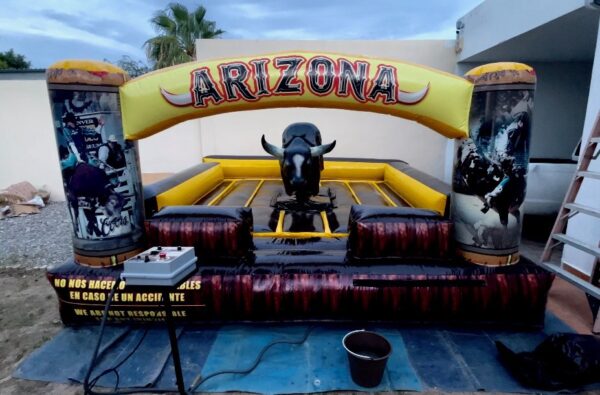 Mechanical Bull for Whole day & Night (24 Hours)